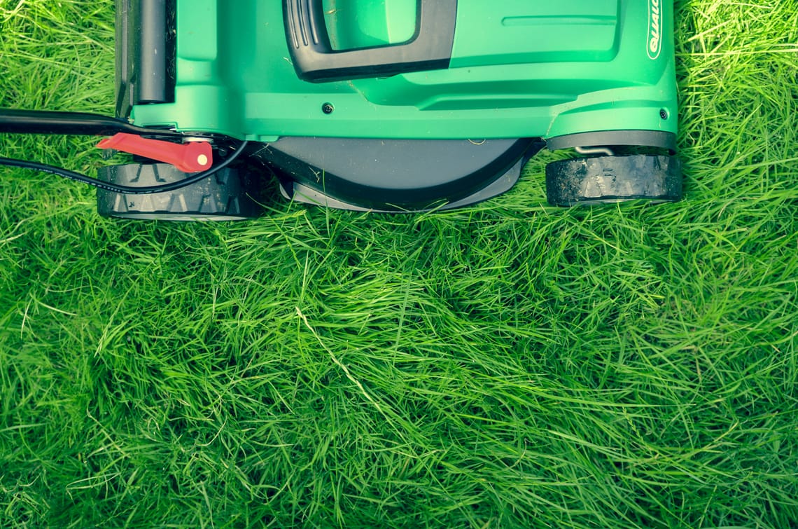 Mowing and Snow Removal